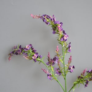 Lila Katzenminze, Lila Wildblumen, Lila Künstliche Katzenminze, Lila Wildminz Blumen, Wildblumenfüller