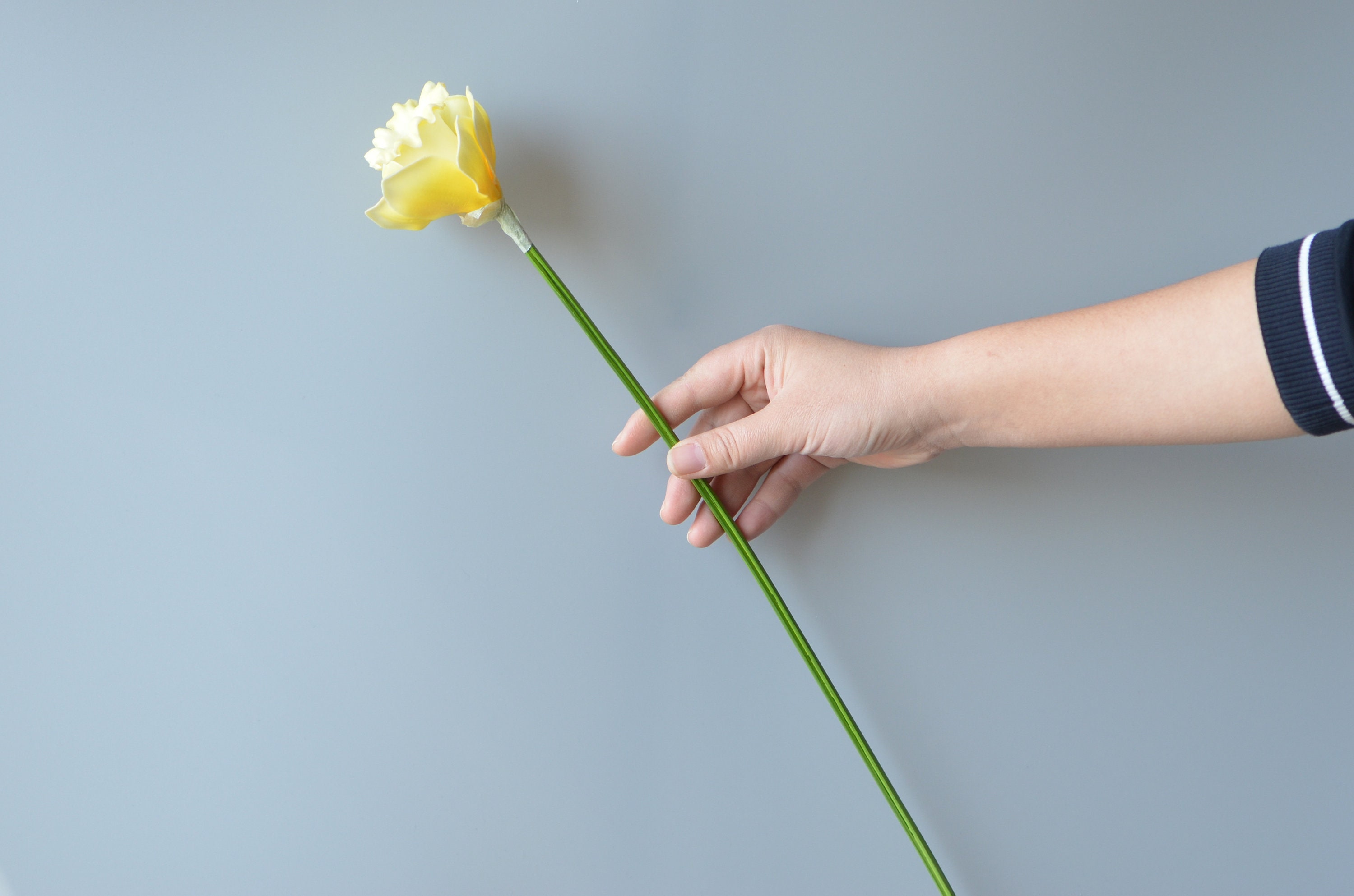 Yellow Daffodils PU Real Touch Flowers Artificial Daffodils Etsy