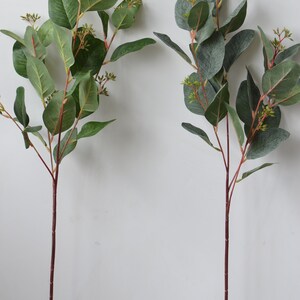 Pu&ograve; includere: Due steli di eucalipto artificiali con foglie verdi e steli marroni. Gli steli sono lunghi circa 50 cm.