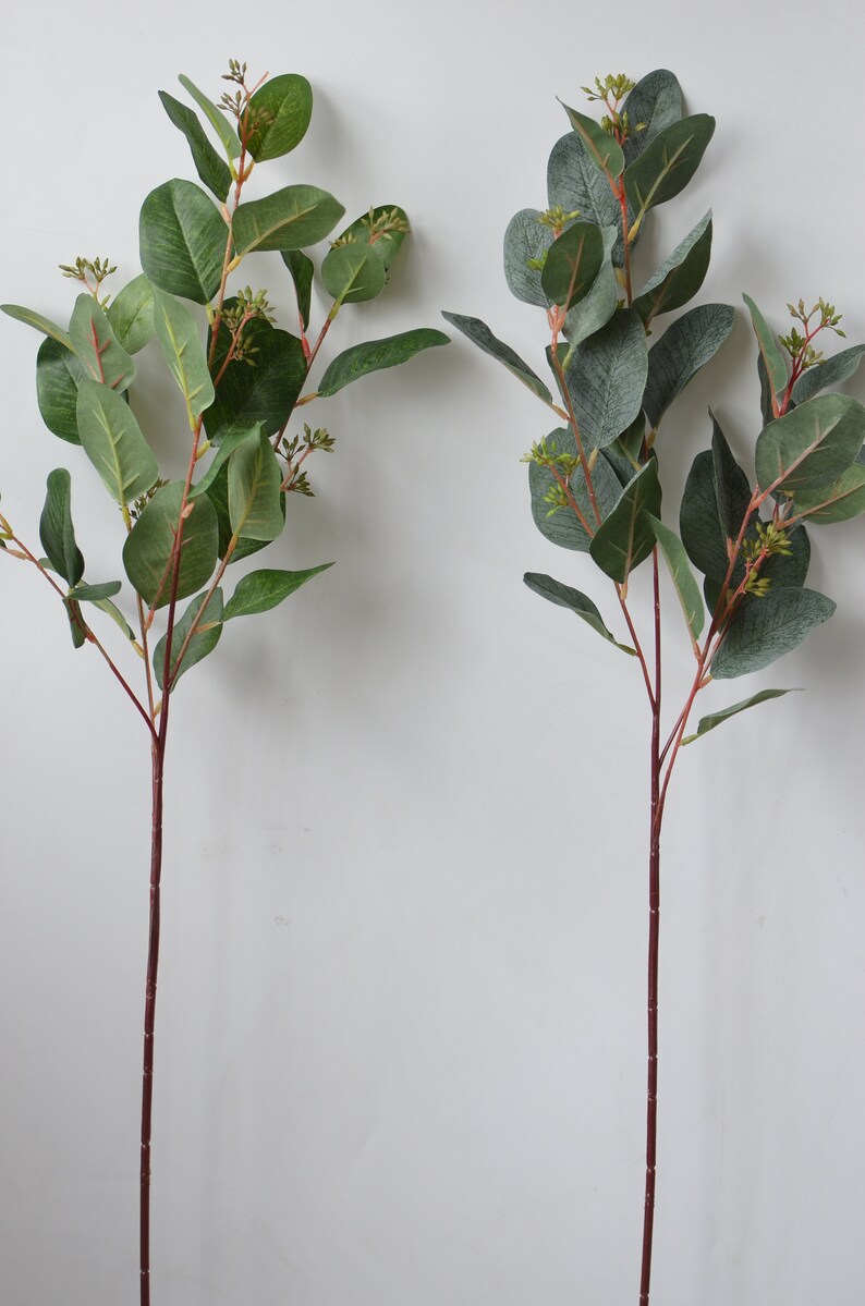 Pu&ograve; includere: Due steli di eucalipto artificiali con foglie verdi e steli marroni. Gli steli sono lunghi circa 50 cm.