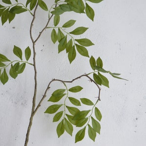 May include: A single branch with green leaves against a white wall. The branch has several small, thin branches with leaves that are a deep green color.