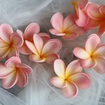 Tropical Home Decor