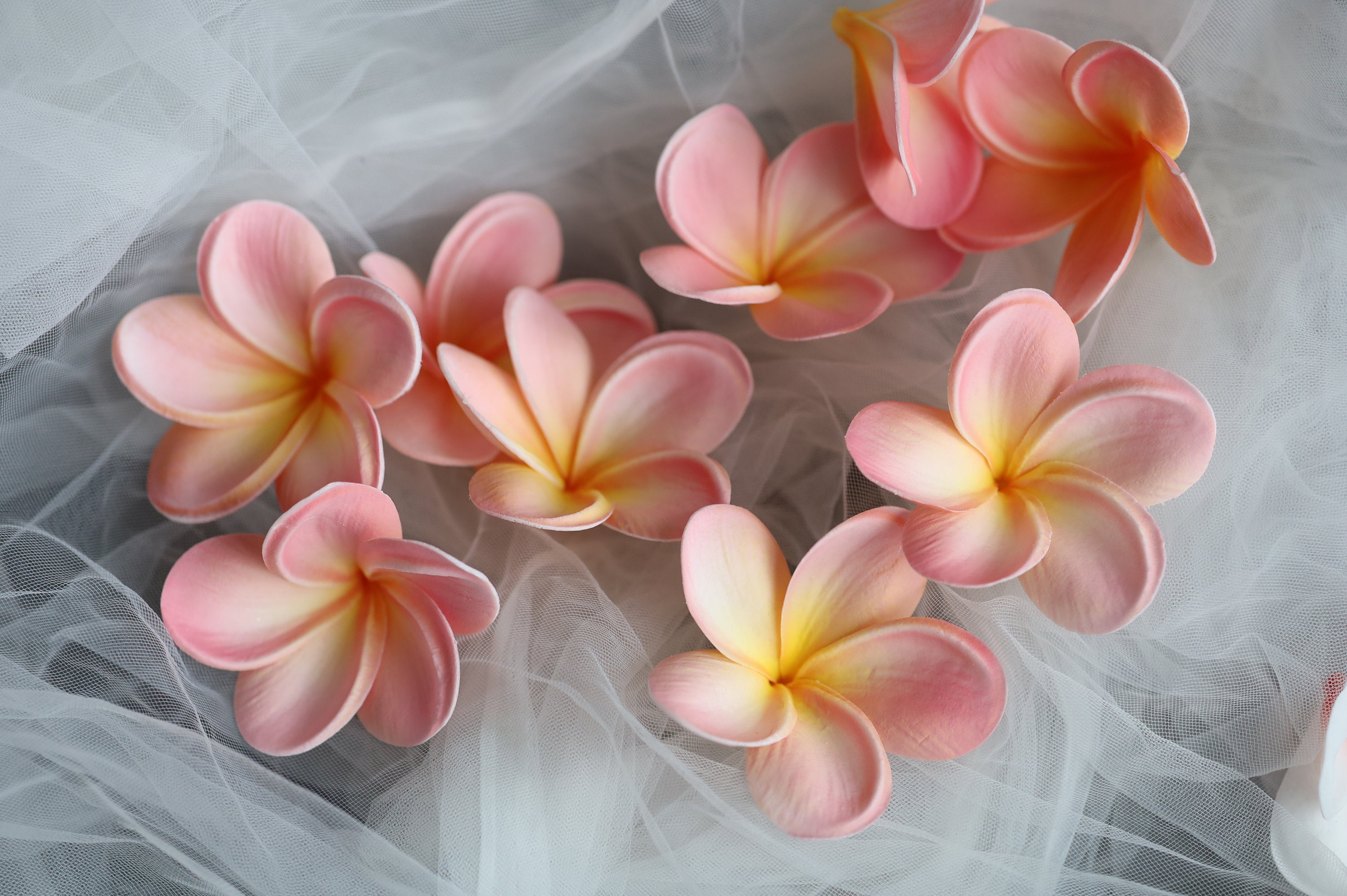 Faux Light Coral frangipani Plumerias, Natural Real Touch Flowers. Flower heads. DIY Cake Decorations, DIY Hair Flowers