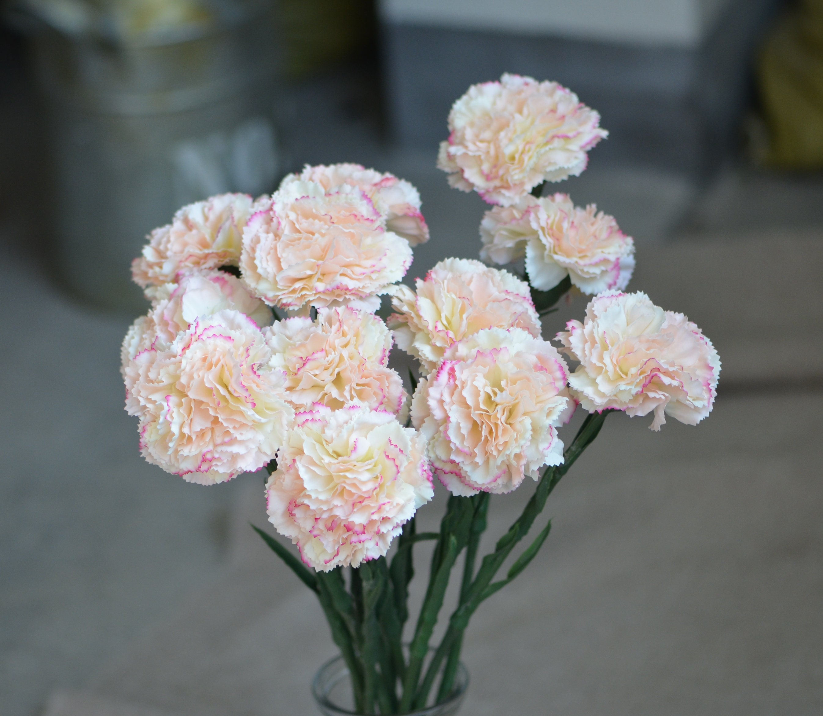 5 Carnations FUCHSIA PINK Silk Wedding Bouquet Centerpieces Flowers Decoration 