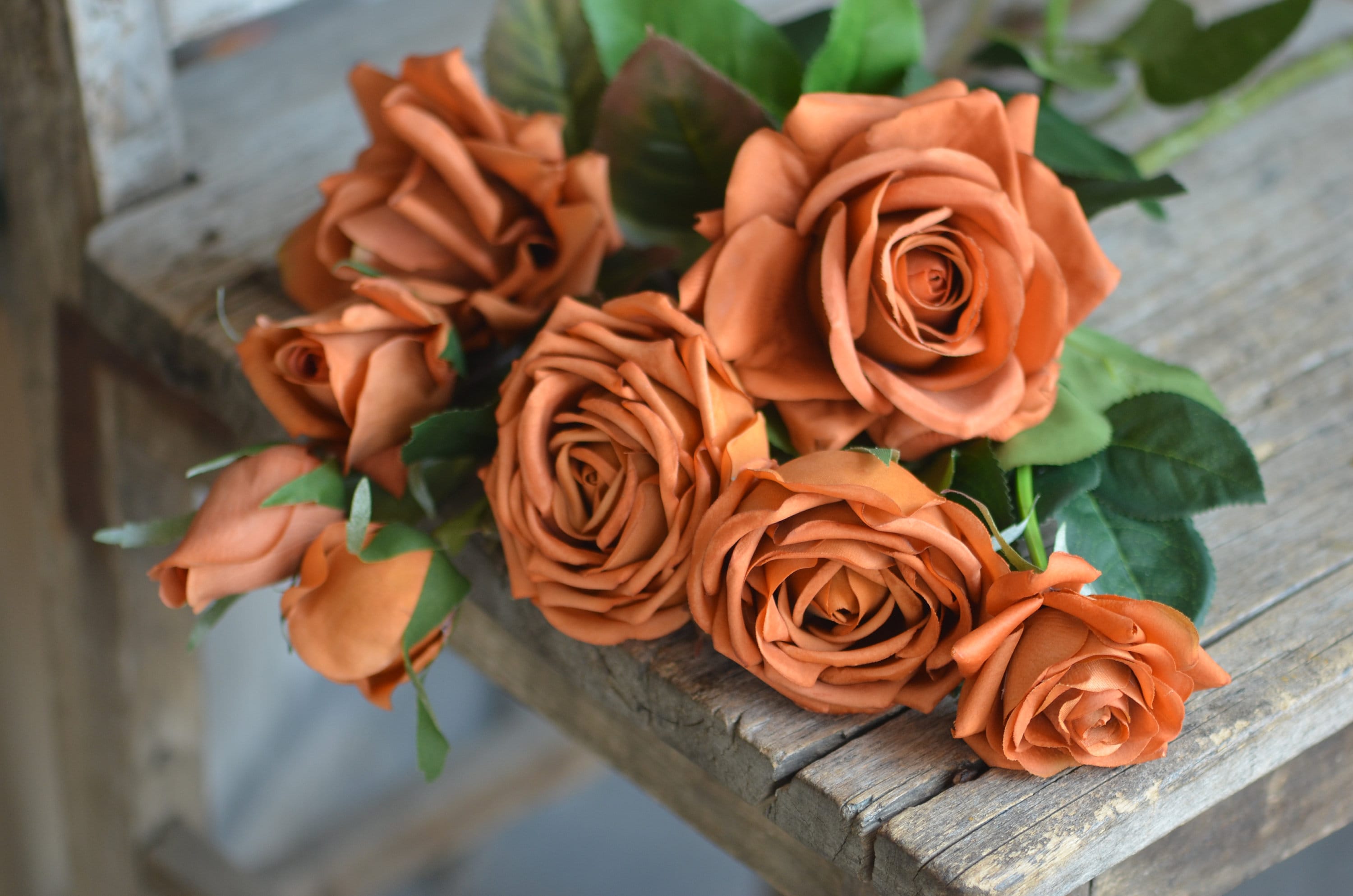 Burnt Orange Roses Flowers At Jett Embling Blog