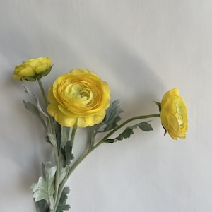 May include: A bouquet of three yellow ranunculus flowers with green leaves.