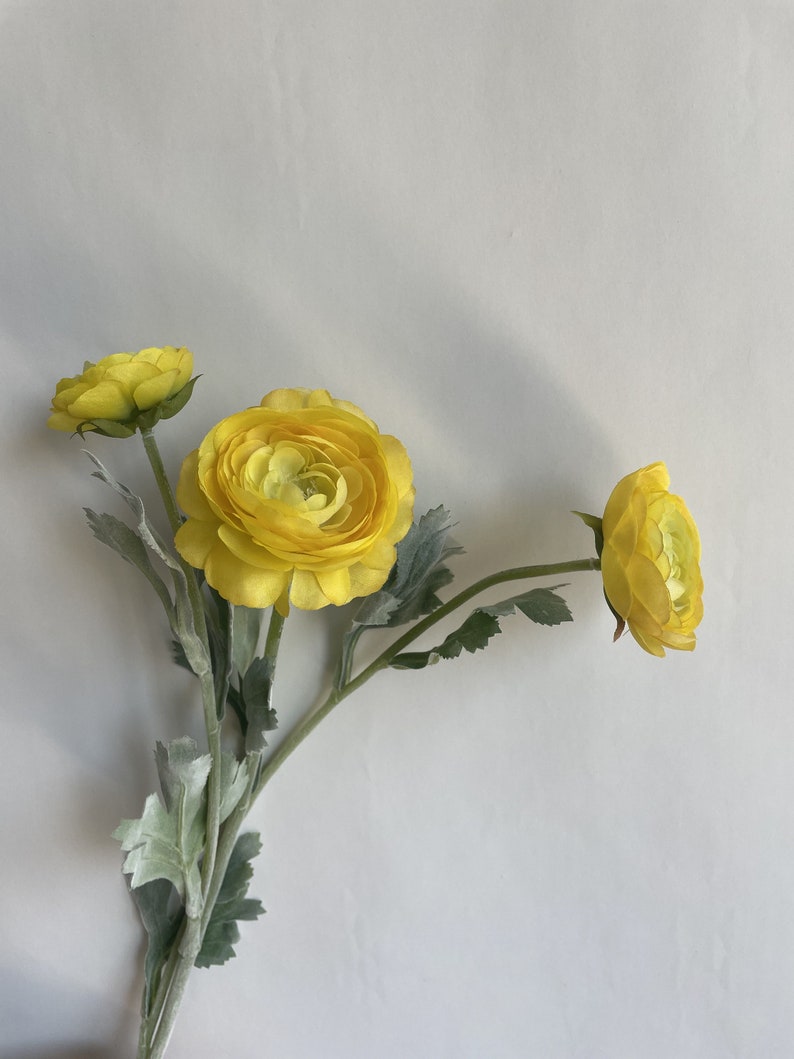 May include: A bouquet of three yellow ranunculus flowers with green leaves.