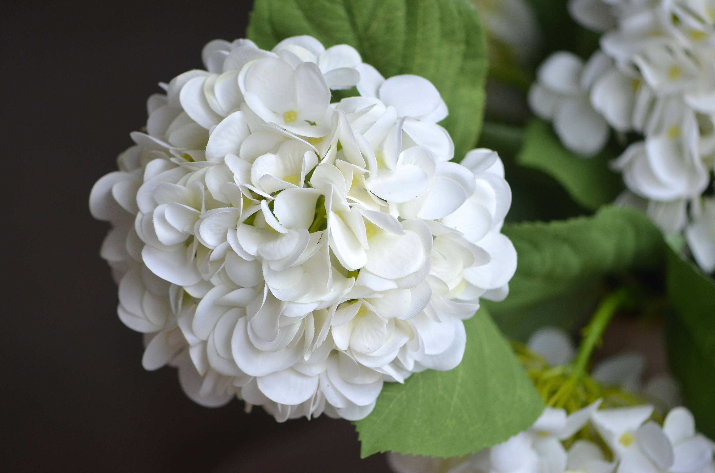 White Cream Hydrangeas Real Touch Hydrangeas DIY Silk Wedding Etsy