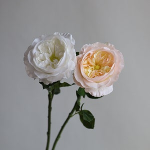 21.6” Fake Large Real Touch English Cabbage Roses-White/Champagne, Realistic Fake Flowers, DIY Florals |Wedding/Home/Kitchen Decorations