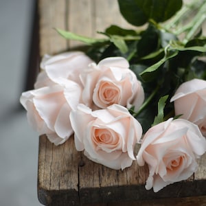 Roses artificielles semi-ouvertes à rougir / rose pâle Real Touch, fleurs DIY Décoration de mariage/maison/cuisine Cadeaux, bouquets de bricolage / centre de table image 6