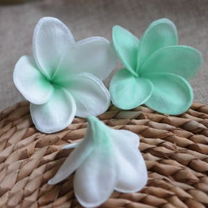 May include: Three white and green plumeria flowers with a gradient of color from white to green. The flowers are on a woven brown surface.