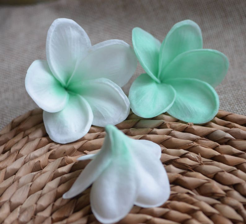 May include: Three white and green plumeria flowers with a gradient of color from white to green. The flowers are on a woven brown surface.