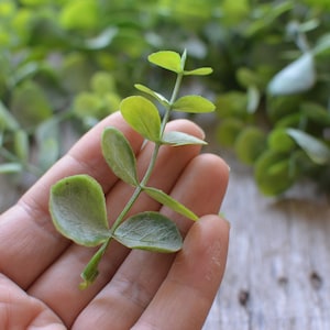 60 Flocked Eucalyptus, Frosted Green Artificial Filler, Flower ...