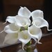 9 Stems Real Touch White Ivory Calla Lilies DIY Wedding Bouquets Silk Bridal Bouquets 