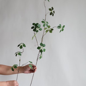 Puede incluir: Un solo tallo de vegetaci&oacute;n artificial con m&uacute;ltiples hojas peque&ntilde;as de color verde. Las hojas tienen forma de estrella de cinco puntas.