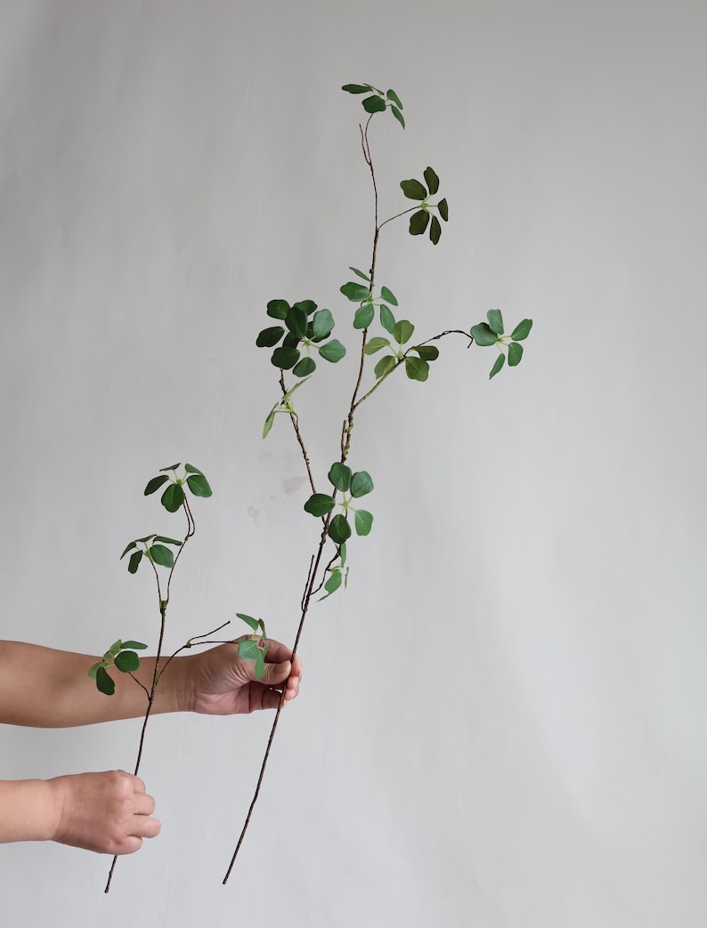 Puede incluir: Un solo tallo de vegetaci&oacute;n artificial con m&uacute;ltiples hojas peque&ntilde;as de color verde. Las hojas tienen forma de estrella de cinco puntas.