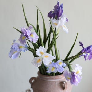 May include: A bouquet of purple and white iris flowers in a terracotta vase. The flowers are arranged in a vase with a textured surface.