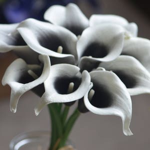 May include: A bouquet of white calla lilies with black centers. The lilies are arranged in a vase and are ready to be displayed.