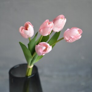May include: A bouquet of five pink tulips in a clear glass vase. The tulips are arranged in a fan shape, with the stems pointing towards the right side of the image.