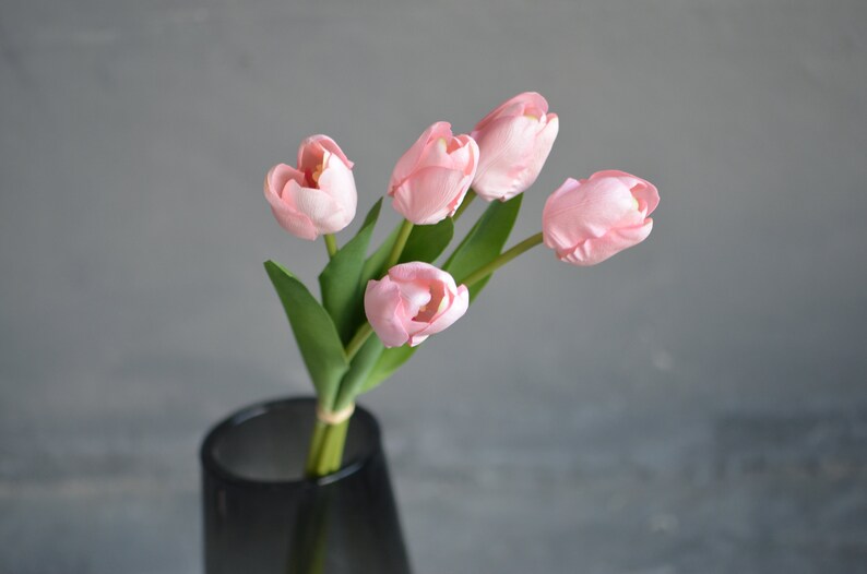 May include: A bouquet of five pink tulips in a clear glass vase. The tulips are arranged in a fan shape, with the stems pointing towards the right side of the image.
