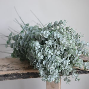 50stems Faux Frosted eucalyptus, 8.2&quot; Artificial Eucalyptus Leaves, DIY Floral Bouquet, DIY Centerpeices, DIY Home wedding Decorations