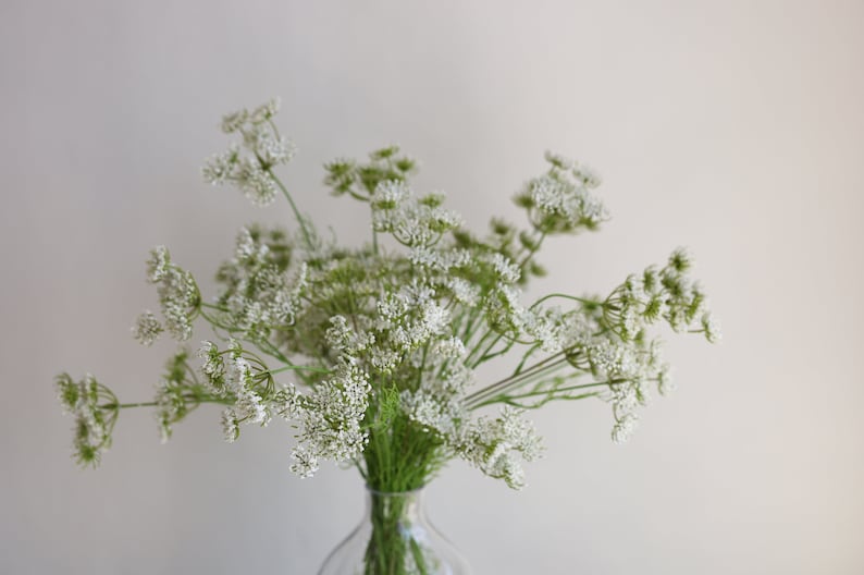 Tallo de planta de encaje falso de la reina Ana de 19,7 , 3 cabezas en blanco, rama de flores artificiales de primavera, flores de bricolaje / boda / hogar / decoración de cocina, regalos imagen 7