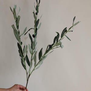 May include: A single olive branch with green leaves and black olives. The branch is 27 inches long. "This is one branch-27" is written in black text at the top of the image.
