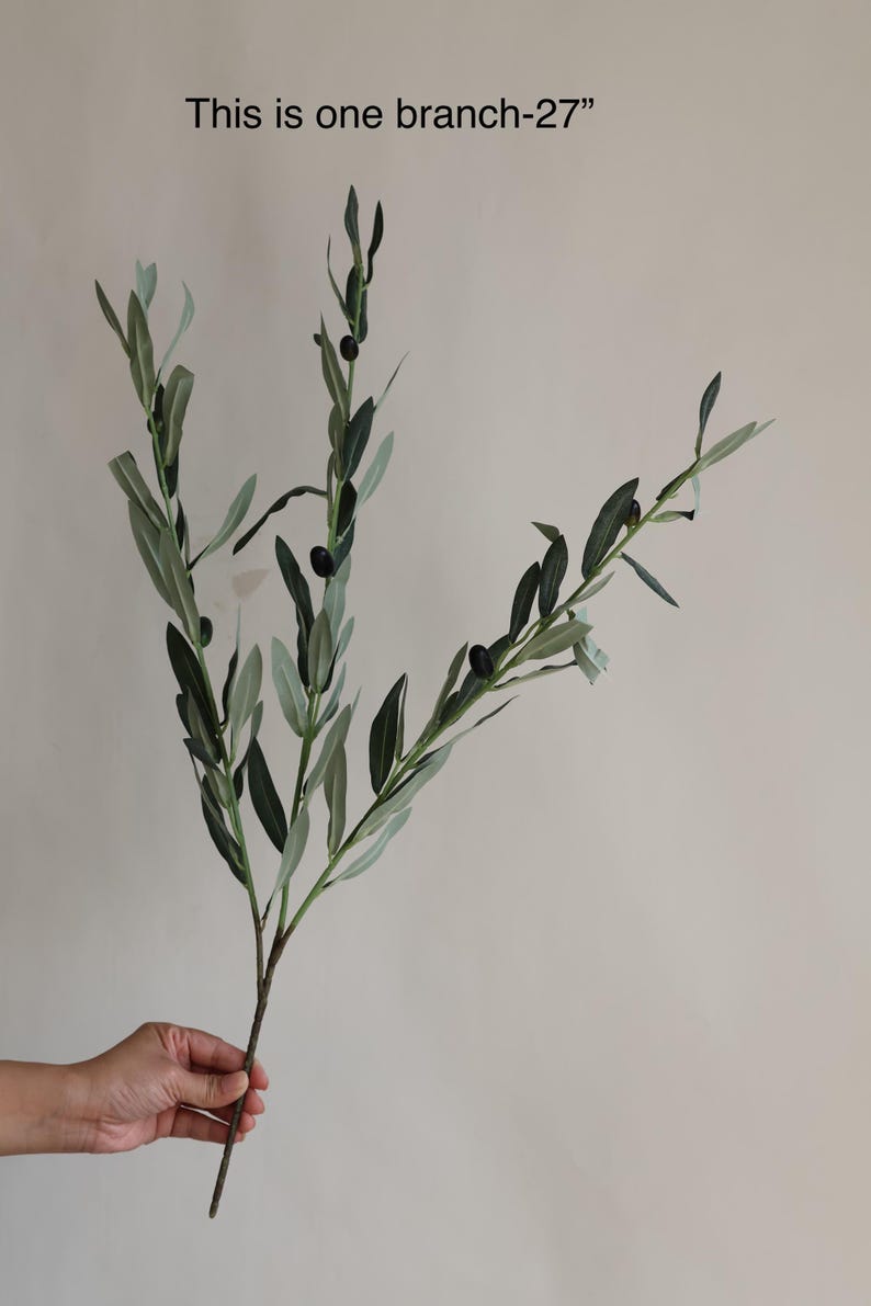 May include: A single olive branch with green leaves and black olives. The branch is 27 inches long. "This is one branch-27" is written in black text at the top of the image.