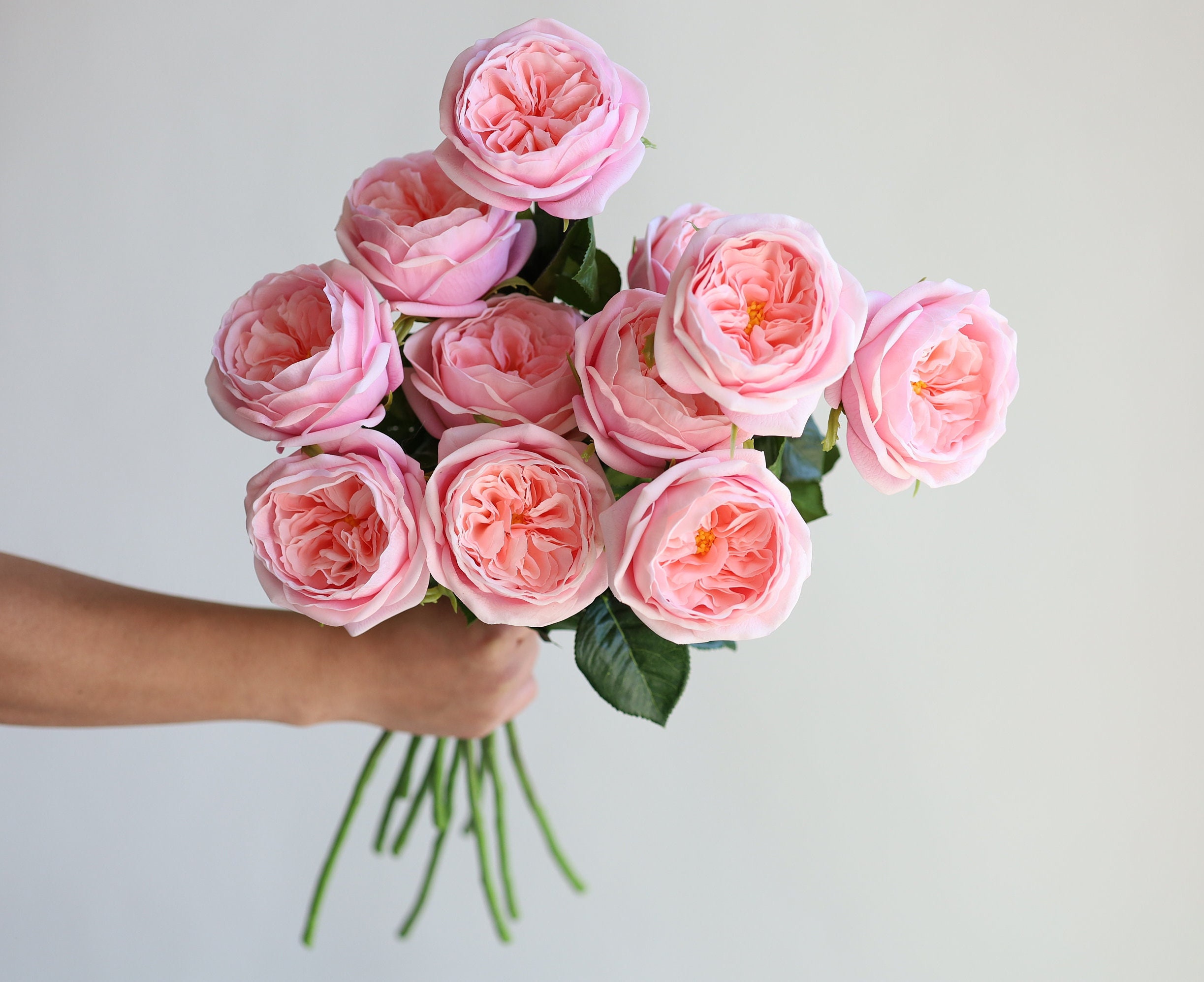 Unique Cabage Roses 18.9” Faux Real Touch English Cabbage Roses-pink, Realistic Fake ...