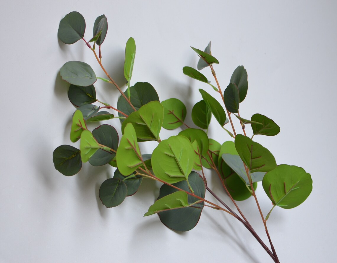 Round Eucalyptus Artificial Real Touch Eucalyptus Leaves Etsy