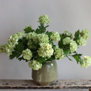 May include: A bouquet of light green hydrangeas in a green ceramic vase. The vase is sitting on a weathered wooden surface.