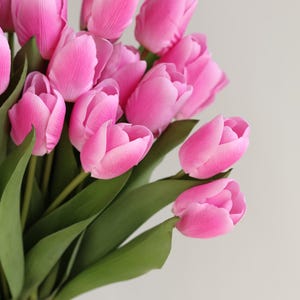 May include: A bouquet of pink tulips with green stems and leaves.