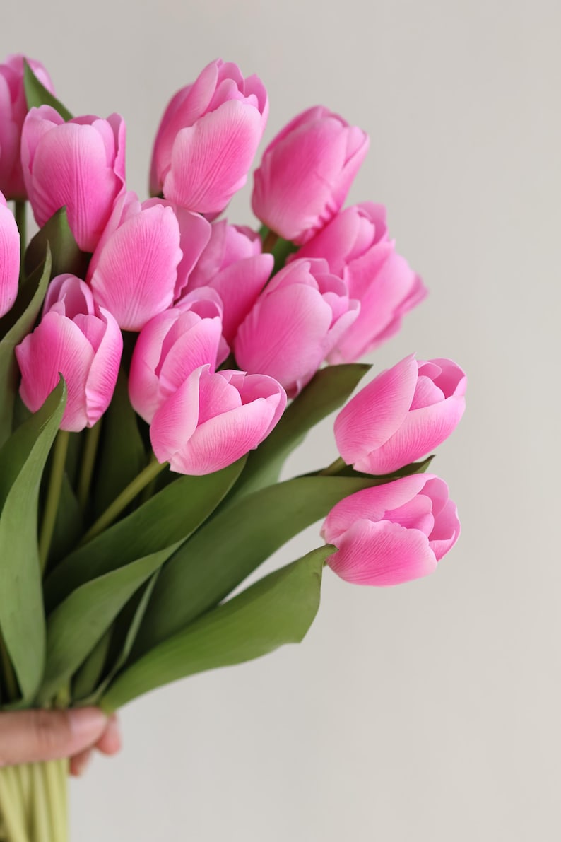 May include: A bouquet of pink tulips with green stems and leaves.