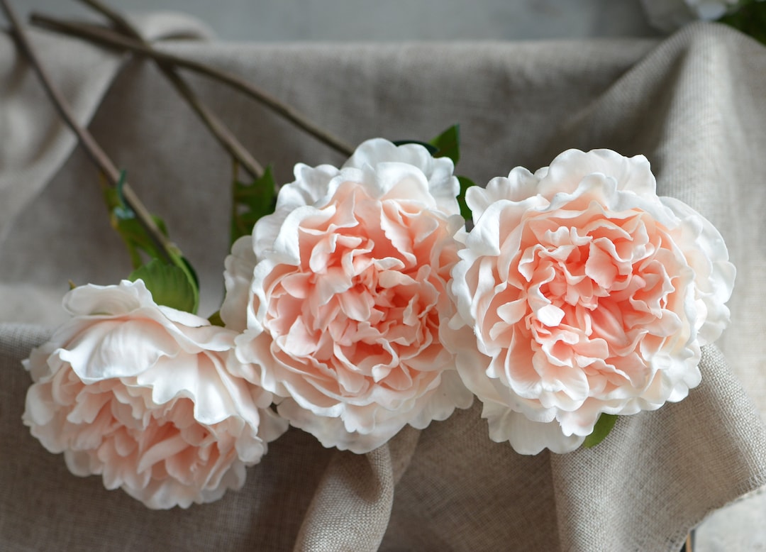 Peach Blush Peonies Real Touch Peonies DIY Silk Wedding Bridal Bouquets