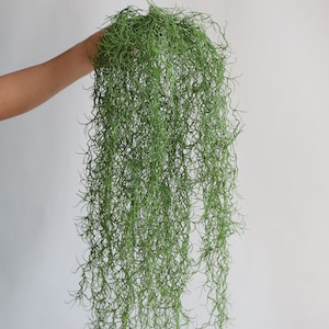 Plantas colgantes artificiales decorativas, suculentas de cadena de perlas falsas, decoración de mesa para bodas o el hogar, planta artificial, decoración navideña para el hogar.