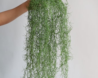 Artificial Hanging Plants Deco, Fake String of Pearls Succulent, Wedding Or Home Table Decorations, Artificial Plant, Holiday Home Decor