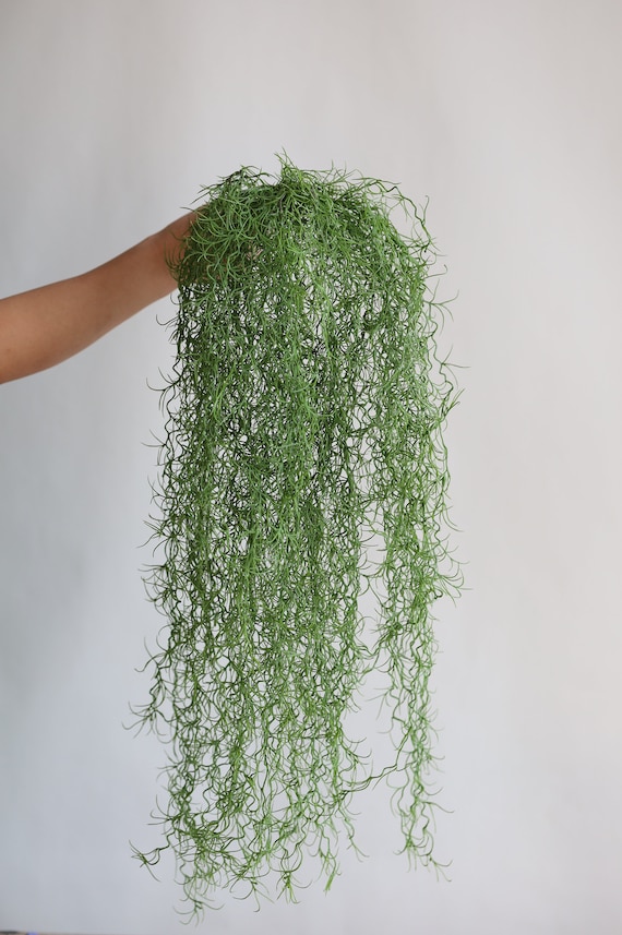 Artificial Hanging Plants Deco, Fake String of Pearls Succulent, Wedding or  Home Table Decorations, Artificial Plant, Holiday Home Decor - Etsy Norway