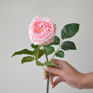 24" Pink Austin Cabbage Roses, Garden Roses, Real Touch Roses, Silk Roses, DIY Wedding Bouquets, Centerpieces