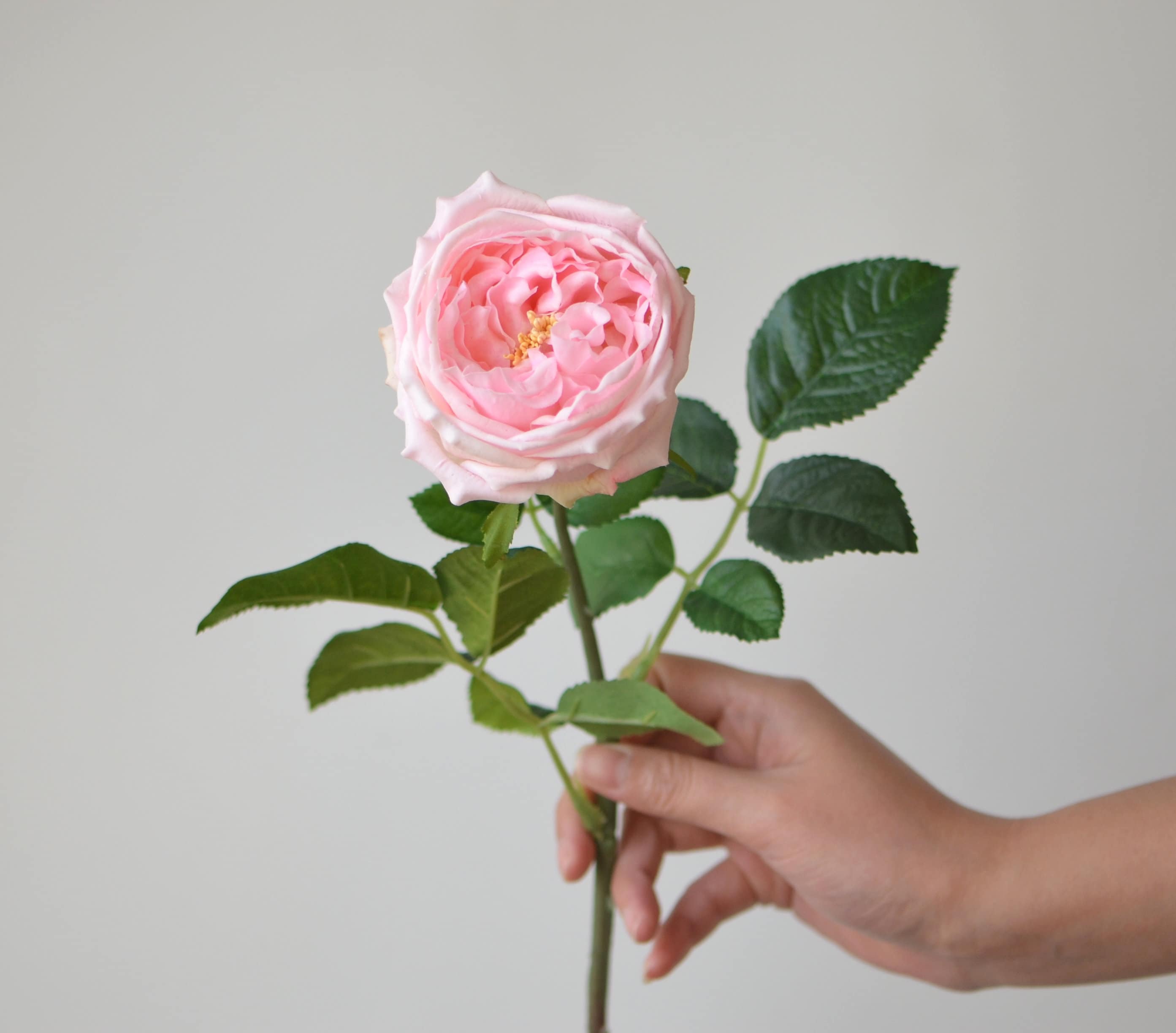 rose♡pinkページ 24