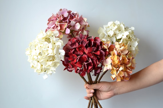 MECCANIXITY – 30 Fiori Ortensia Artificiali In Seta – Rosso, Con Stelo – Diametro 16 Cm, Lunghezza 15 Cm – Centrotavola Per Matrimoni E Decorazioni - 2