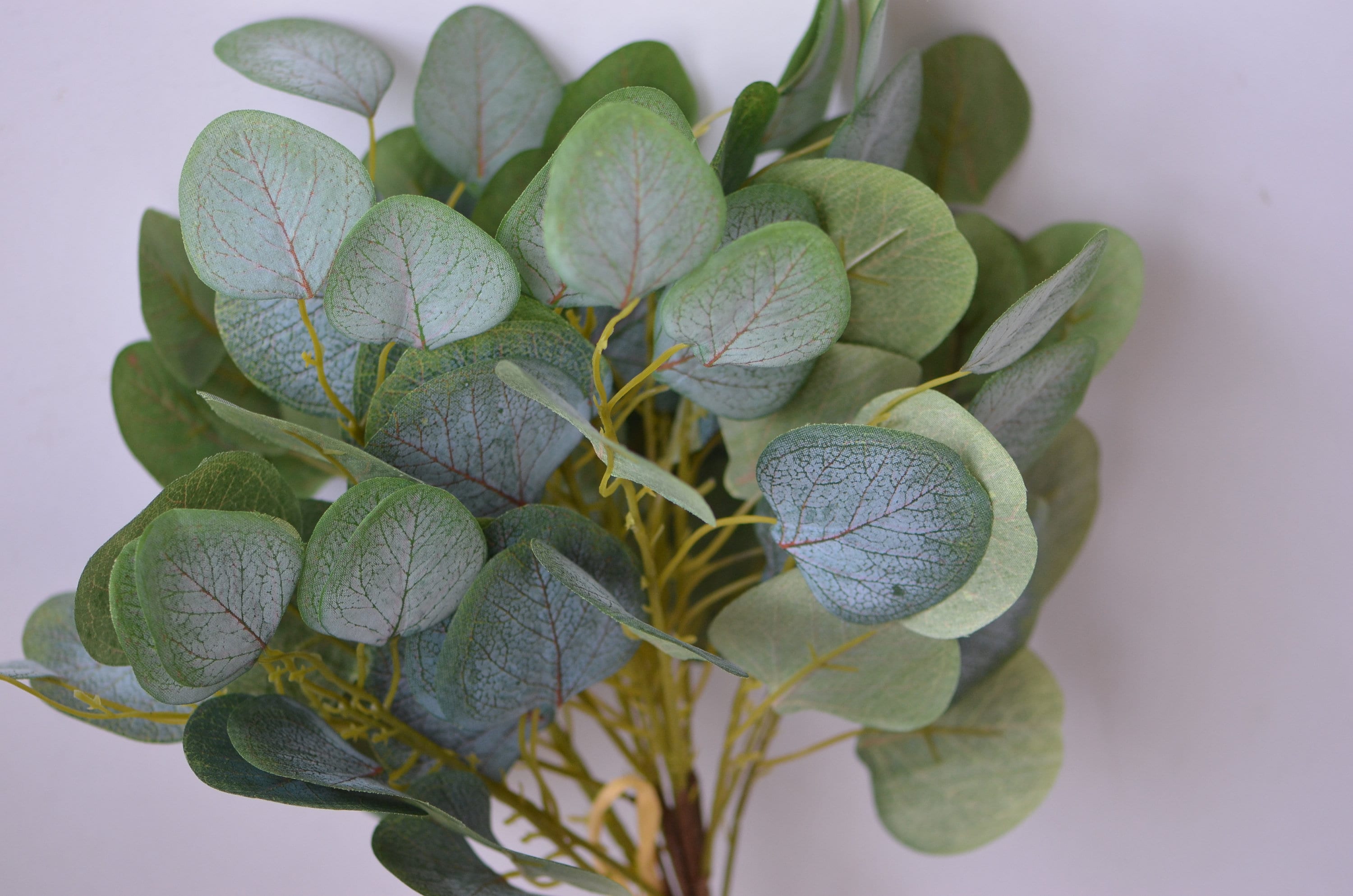 Silk Eucalyptus Bundles Artificial Eucalyptus Leaves Vintage Etsy