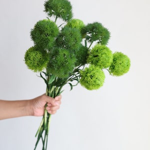 20" Faux Dianthus Green Ball Stem, Artificial Dianthus Green Ball, Spring Summer Plant, DIY Floral Greenery, Home Decoration, Gifts For Him