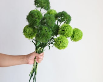 20" Faux Dianthus Green Ball Stem, Artificial Dianthus Green Ball, Spring Summer Plant, DIY Floral Greenery, Home Decoration, Gifts For Him