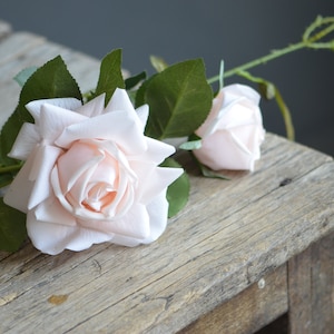 May include: A single stem of pale pink roses with green leaves on a weathered wooden surface.