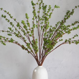 Ramo de brotamento verde artificial de 40&quot;, haste de planta de primavera falsa, | Centros de mesa | Floral | Decoração de casamento/casa | Presentes