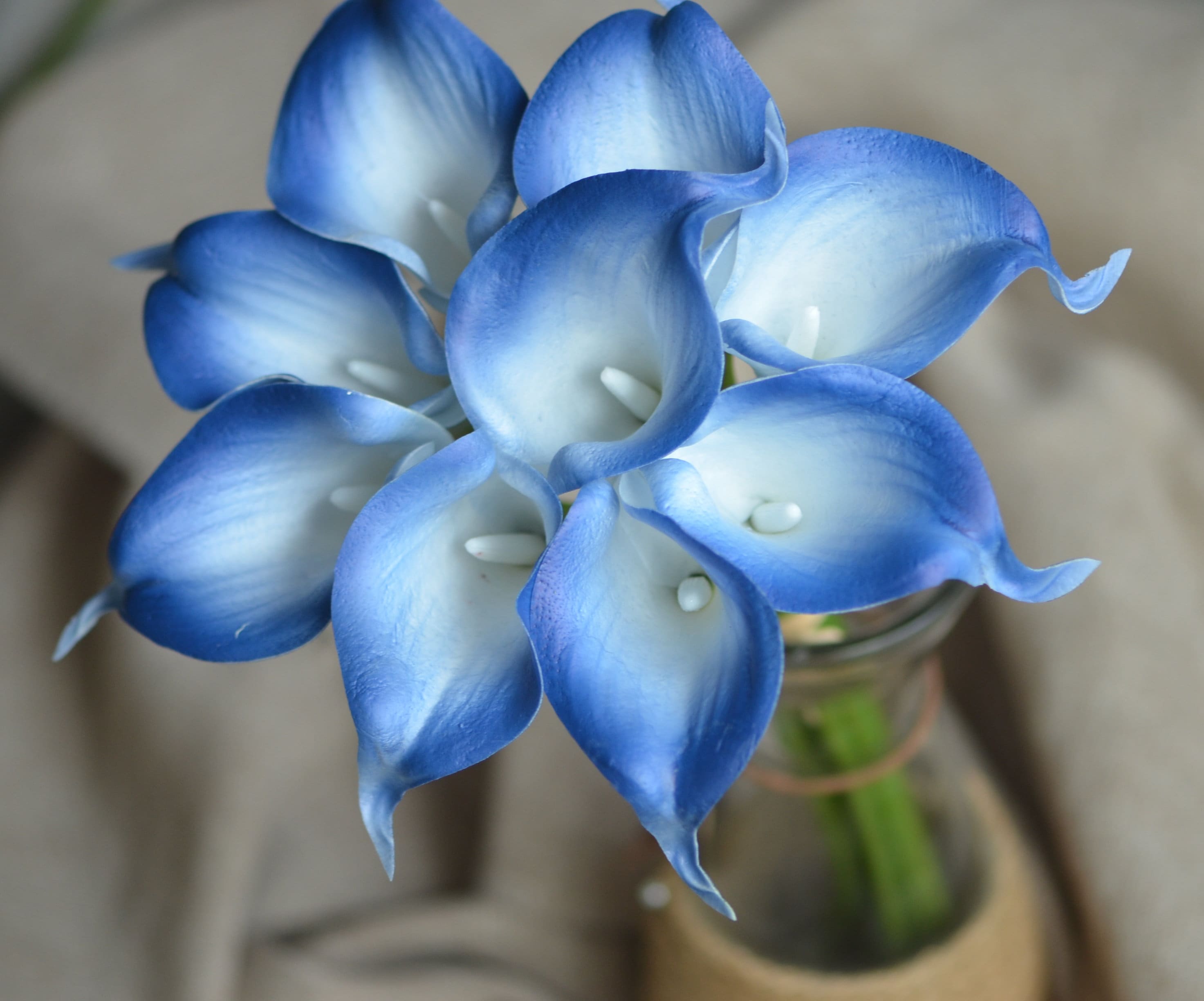 9 lirios de cala blanco azul Real Touch Flores DIY Seda Ramos de boda,  centros de mesa, decoraciones de boda - Etsy México, image size:2945x2448