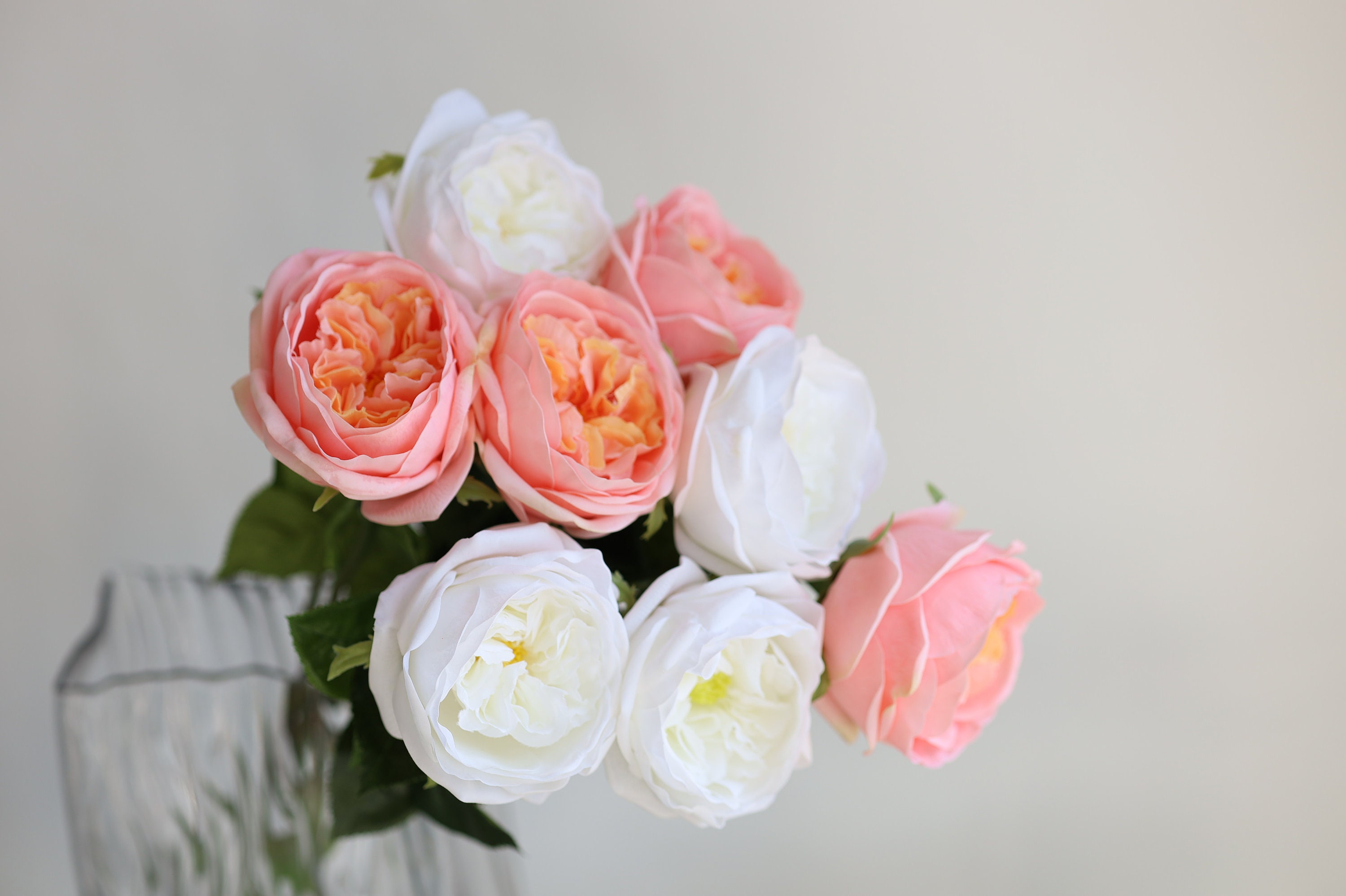 18.9” Faux Real Touch English Cabbage Roses-white/coral Peach ...