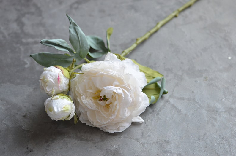 Vieux rose/café séché pivoine, pivoines artificielles de couleur d'automne, décoration de mariage/maison, cadeaux pour la maison, décoration d'intérieur faite à la main one-#1- white