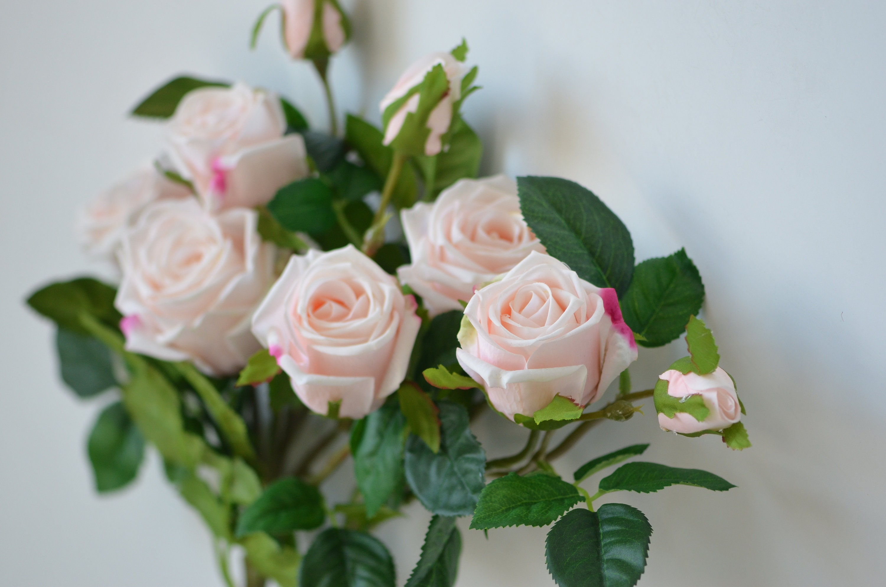 Pale Blush Pink Roses Real Touch Roses Old English Garden Etsy