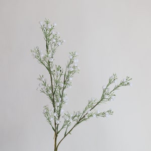 Op de afbeelding: Een enkele stengel witte baby's breath bloemen met groene bladeren.